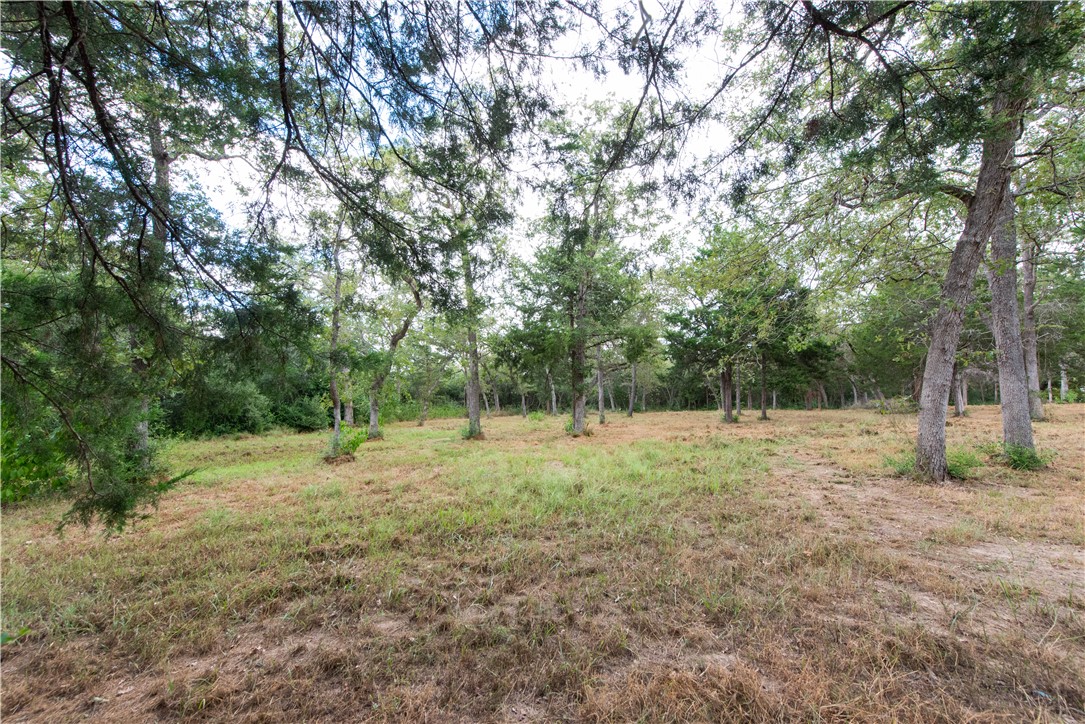 a big yard with lots of green space and trees