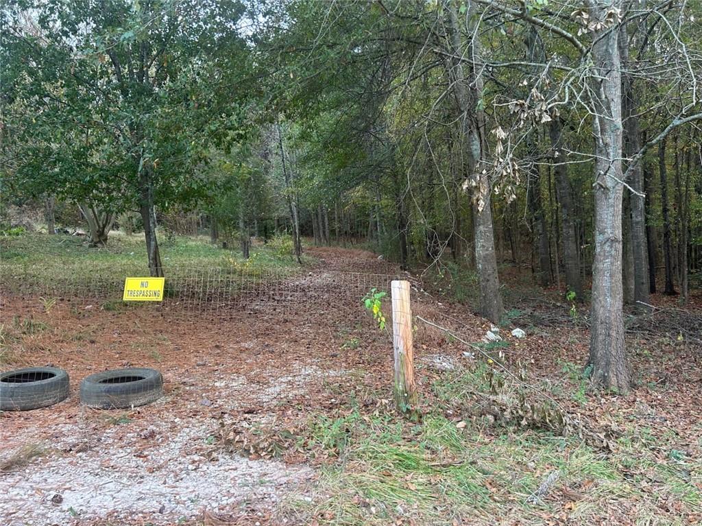 a view of a backyard with trees