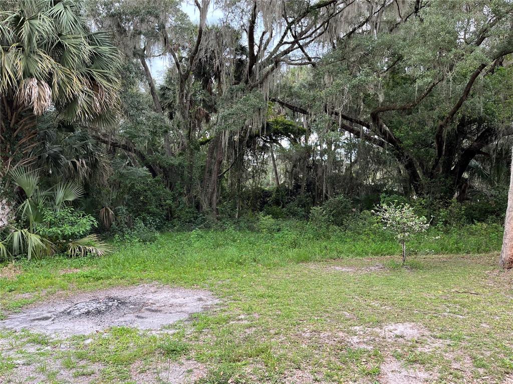 a view of a yard with a tree