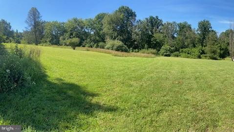 a view of a field with a trees in the background