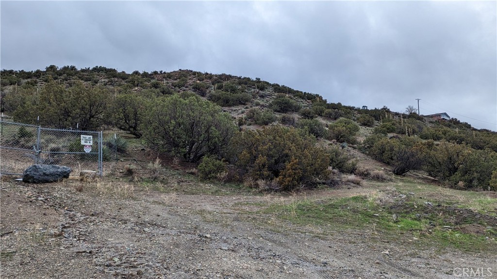 a view of a dry yard