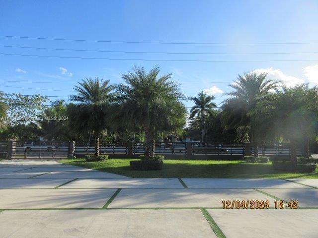 a view of a yard and palm trees