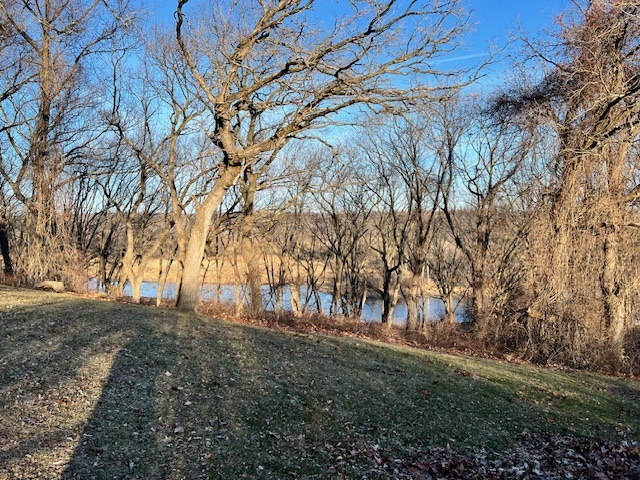 a view of outdoor space with trees