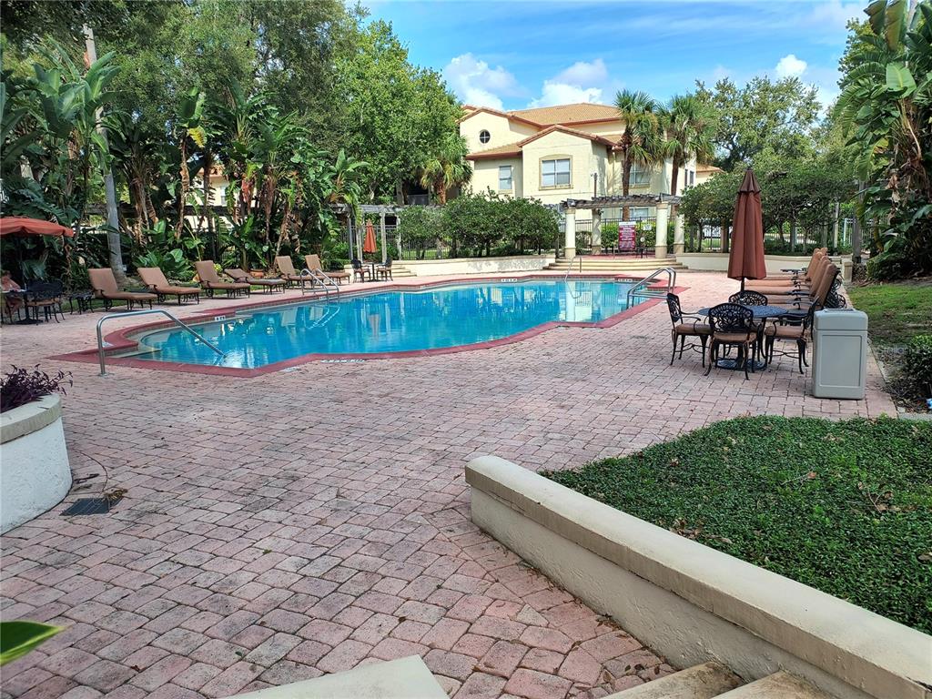 a view of swimming pool with lawn chairs and plants