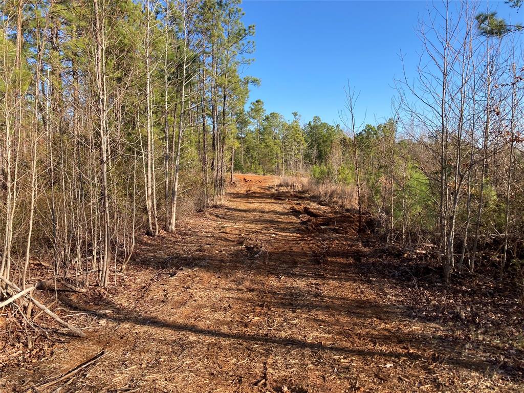 a view of dirt road with trees