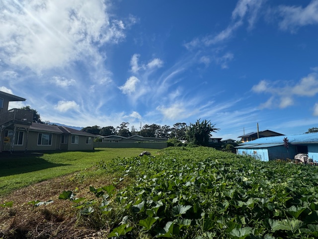 a view of a garden with a building in the background