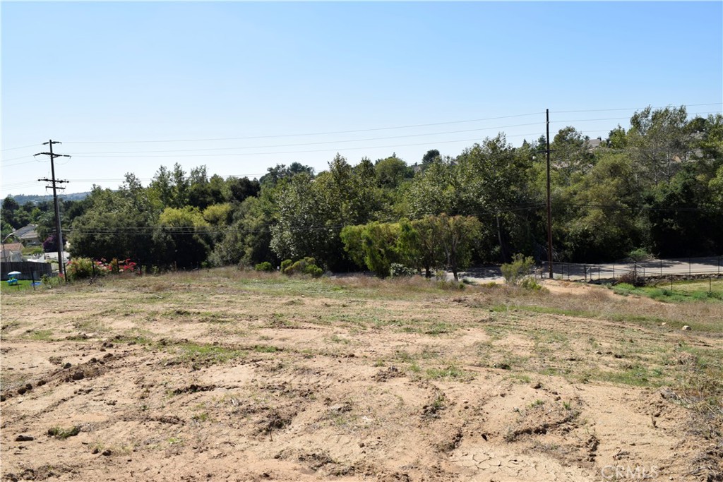 a view of a yard with trees in the background