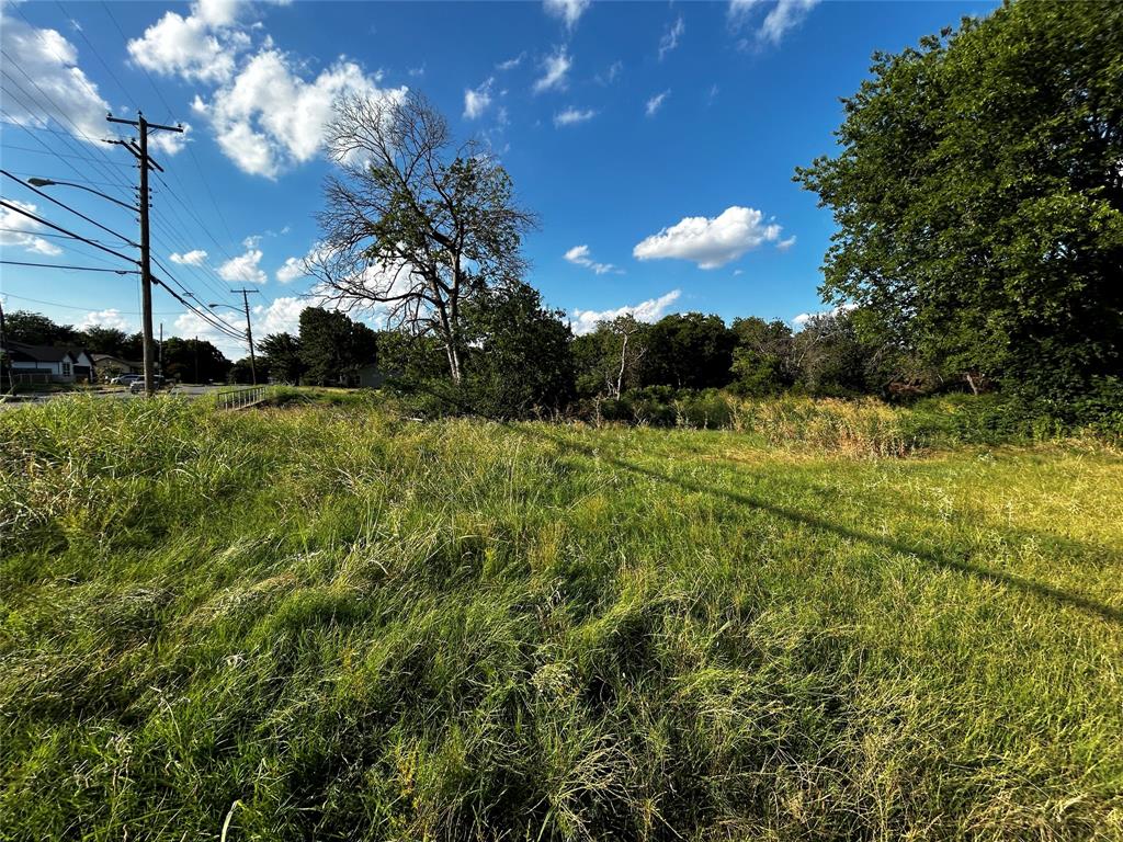 a view of a big yard with a large tree