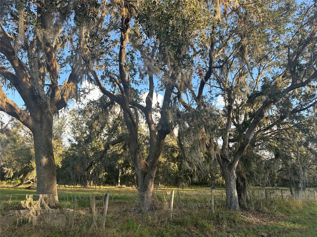 a view of backyard with green space