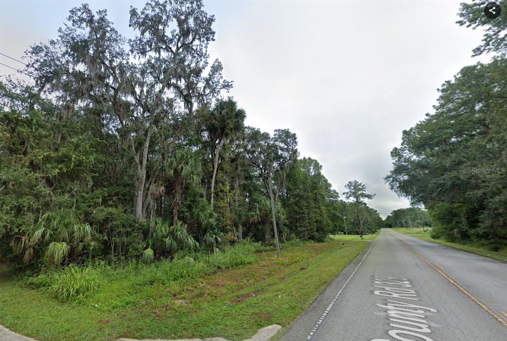 a view of a street with a trees park on both side of it