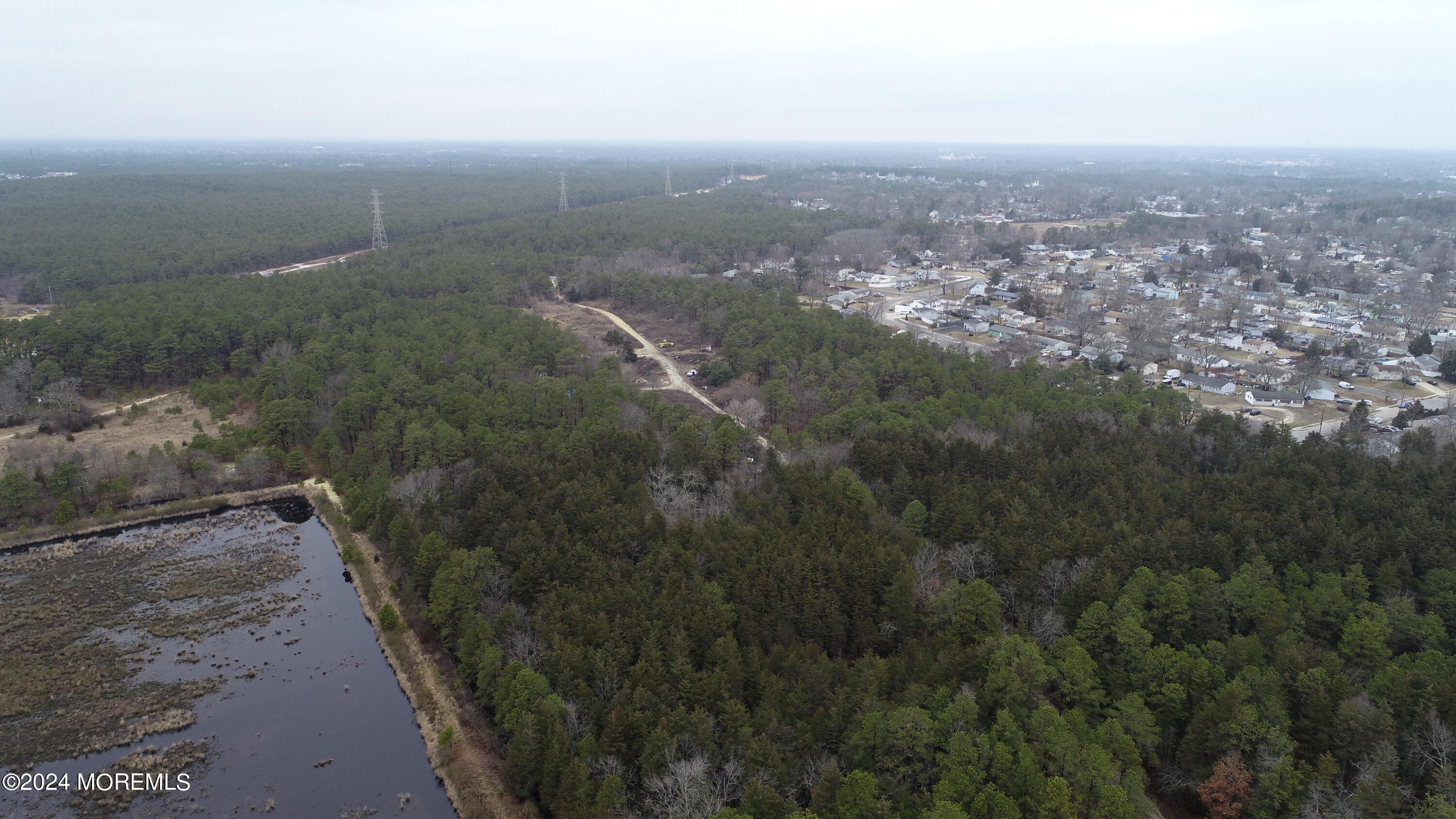 a view of a city with lush green forest