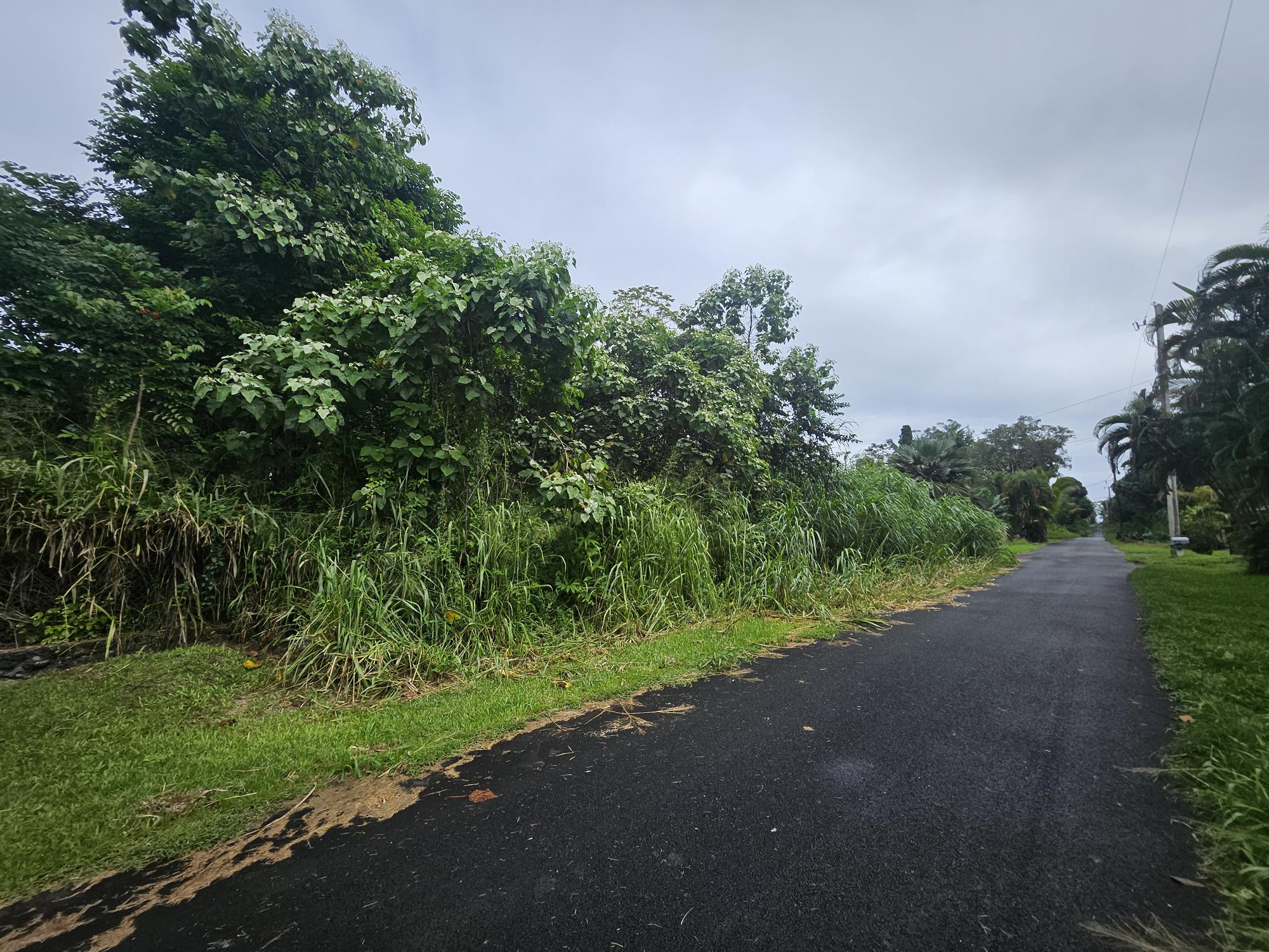 a view of a street with a yard