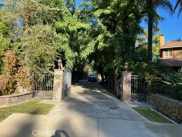 a view of a yard with plants and trees