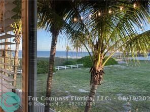 a view of backyard with palm trees