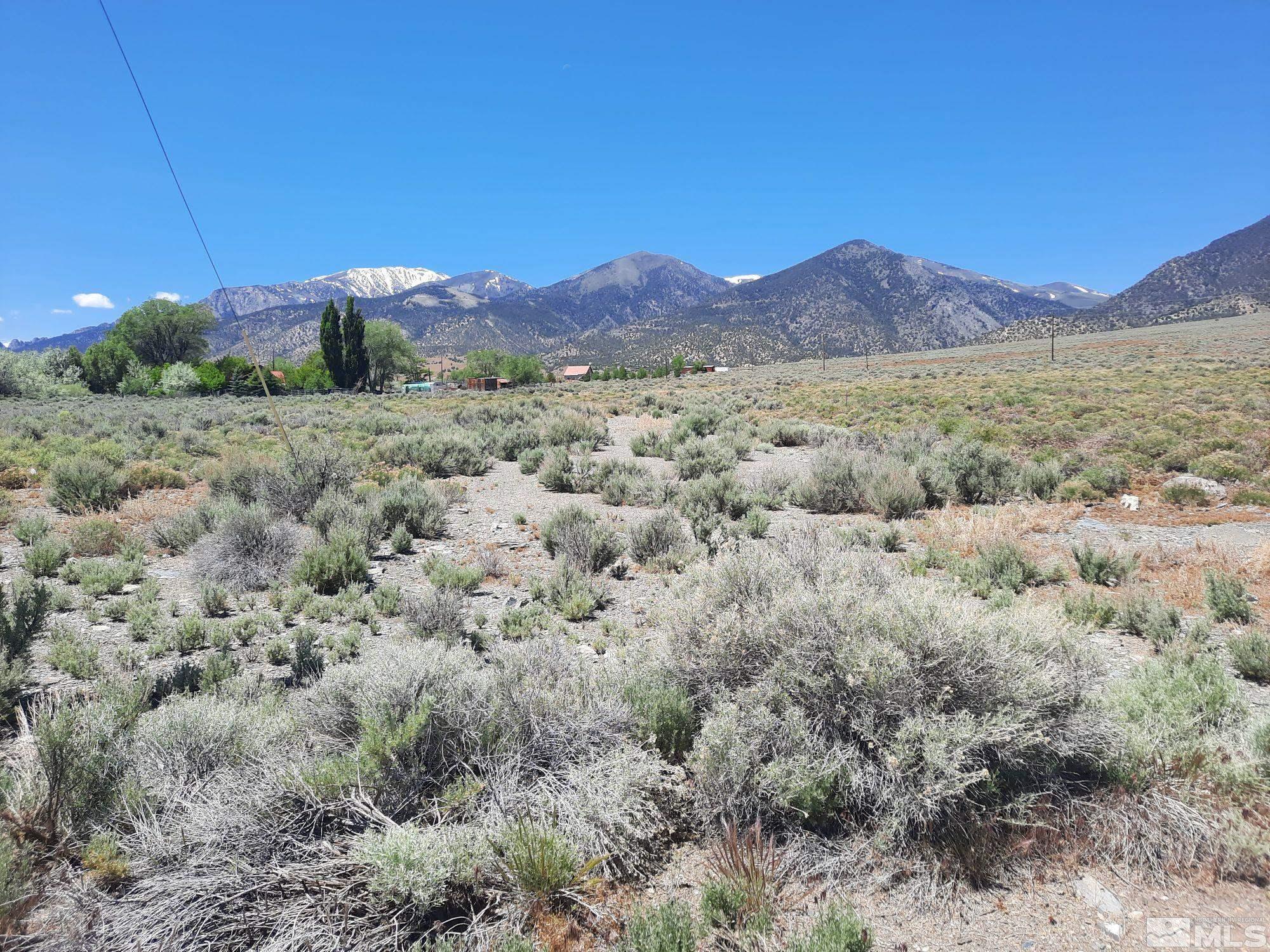 a view of a mountain in the distance