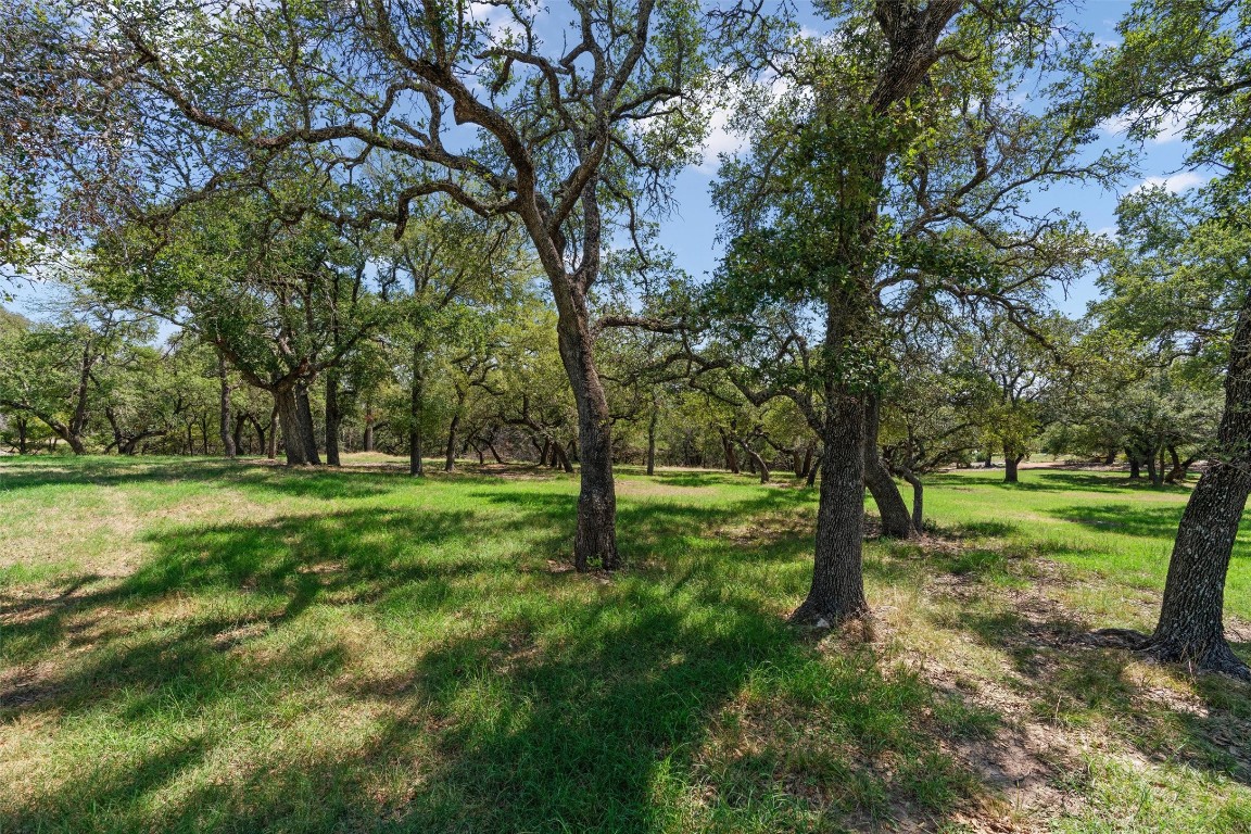 a view of outdoor space with trees all around