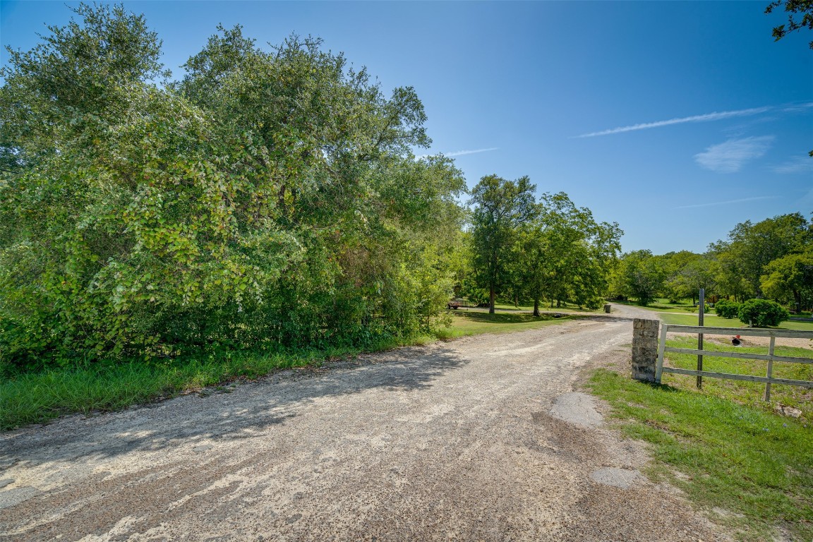 a view of a yard with a tree