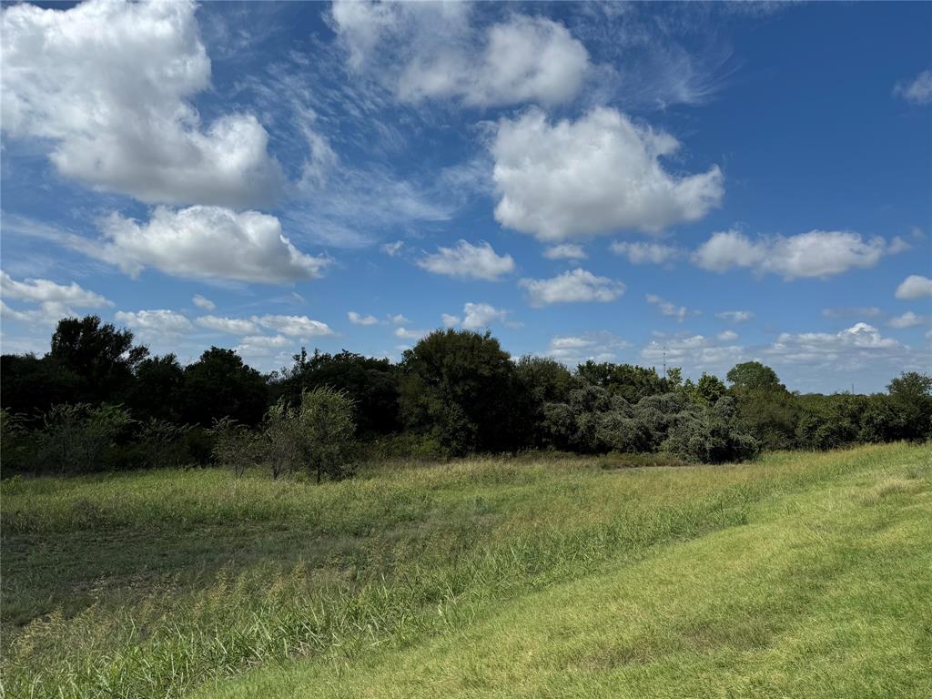 a view of a grassy field with trees in the background