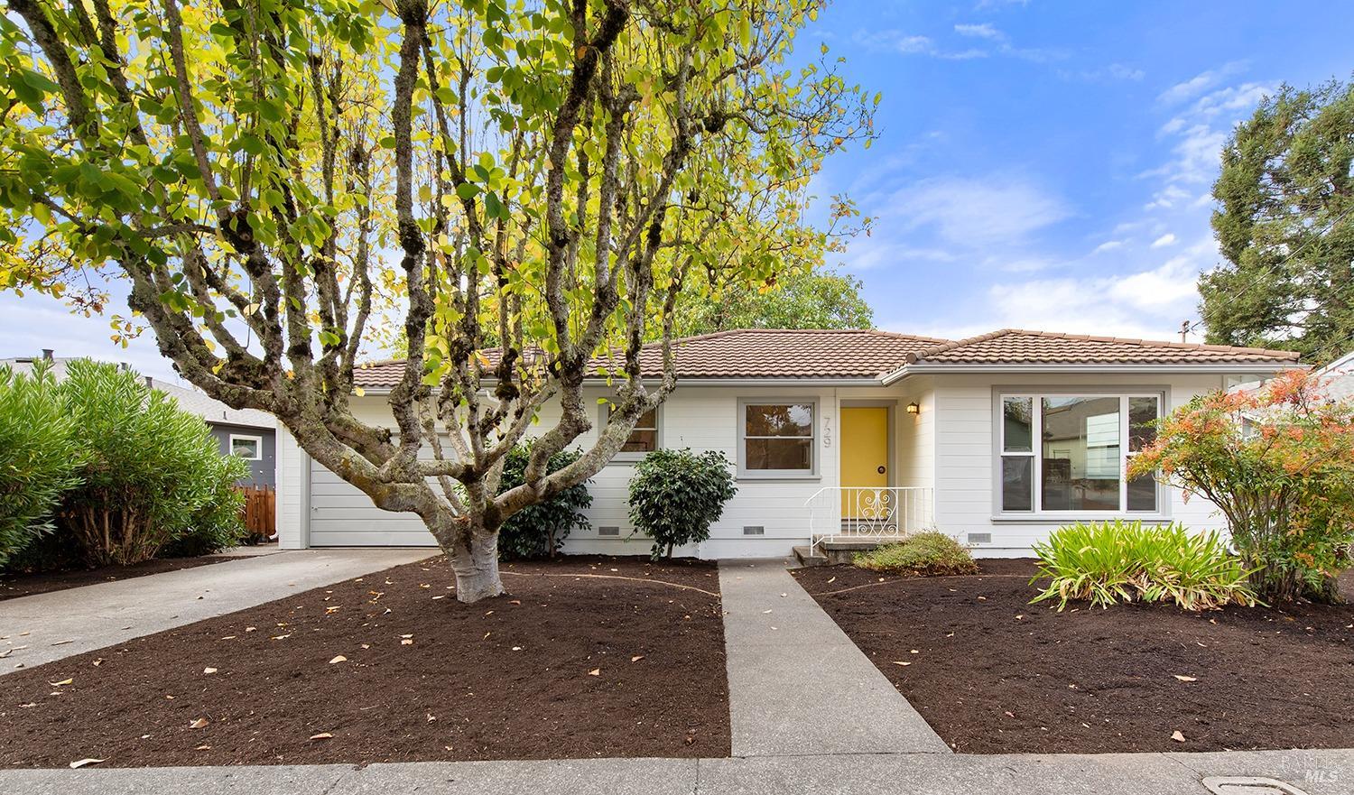 front view of a house with a tree