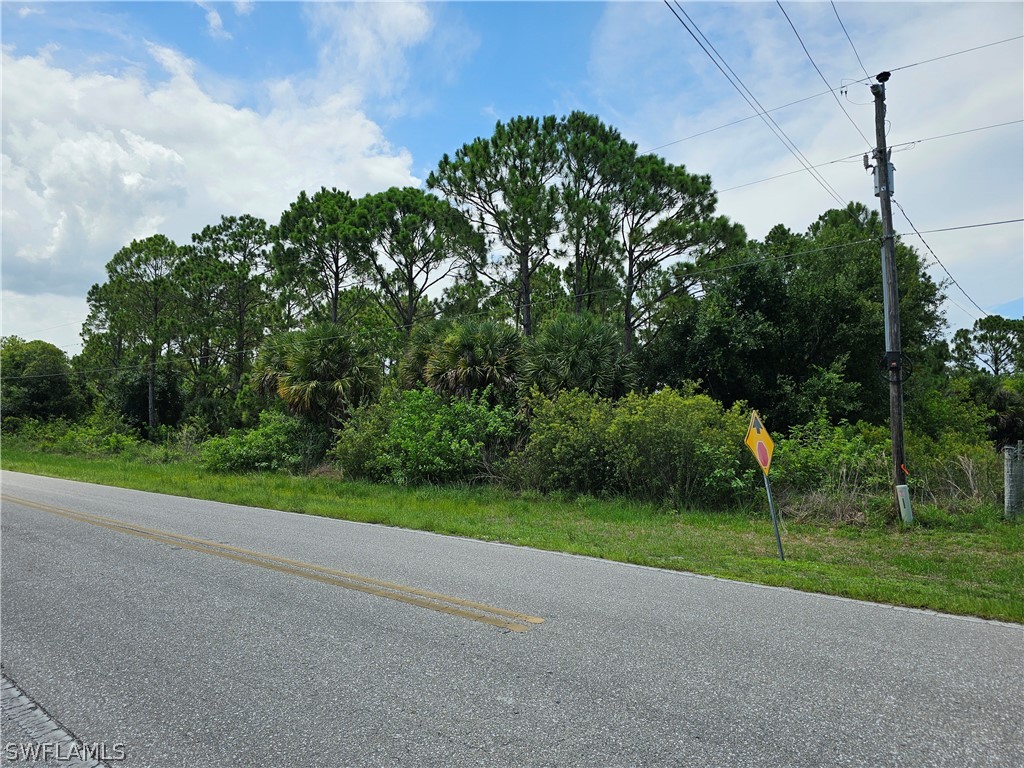 a view of a park