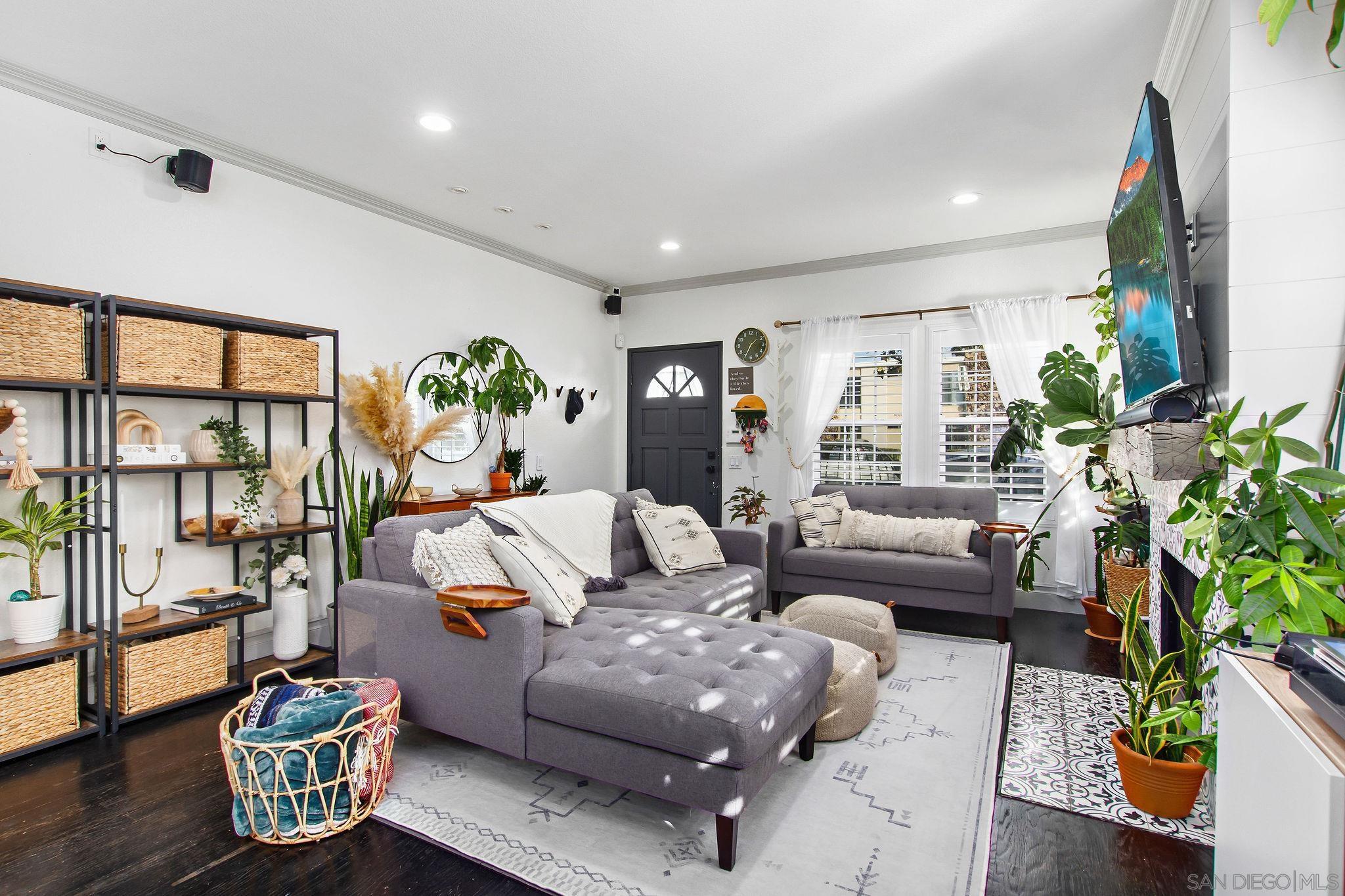 a living room with furniture and a potted plant