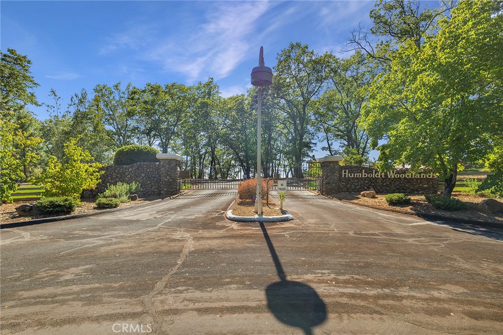 a view of a water fountain in the middle of a yard