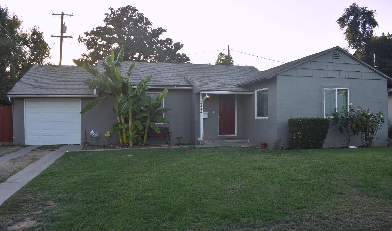 a backyard of a house with potted plants and a large tree