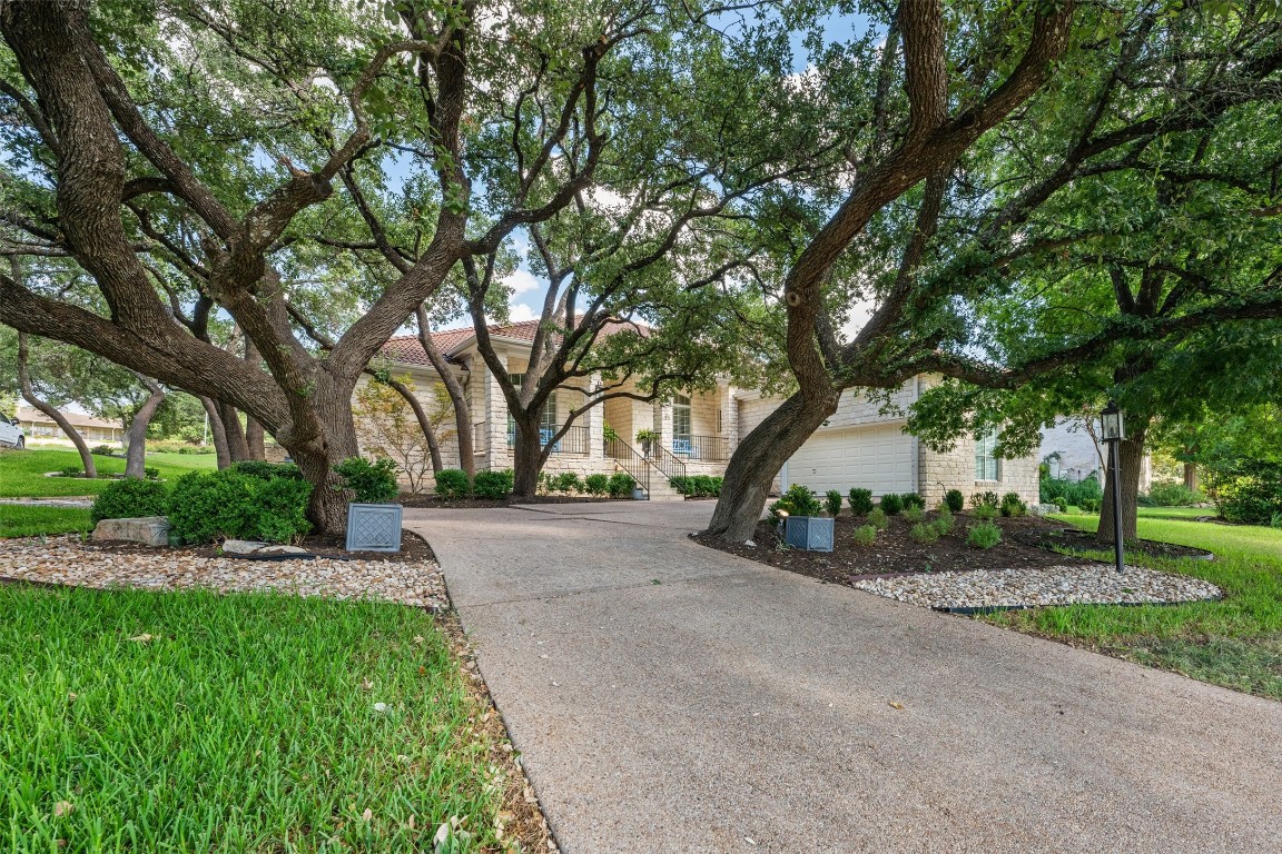 a park view with large trees