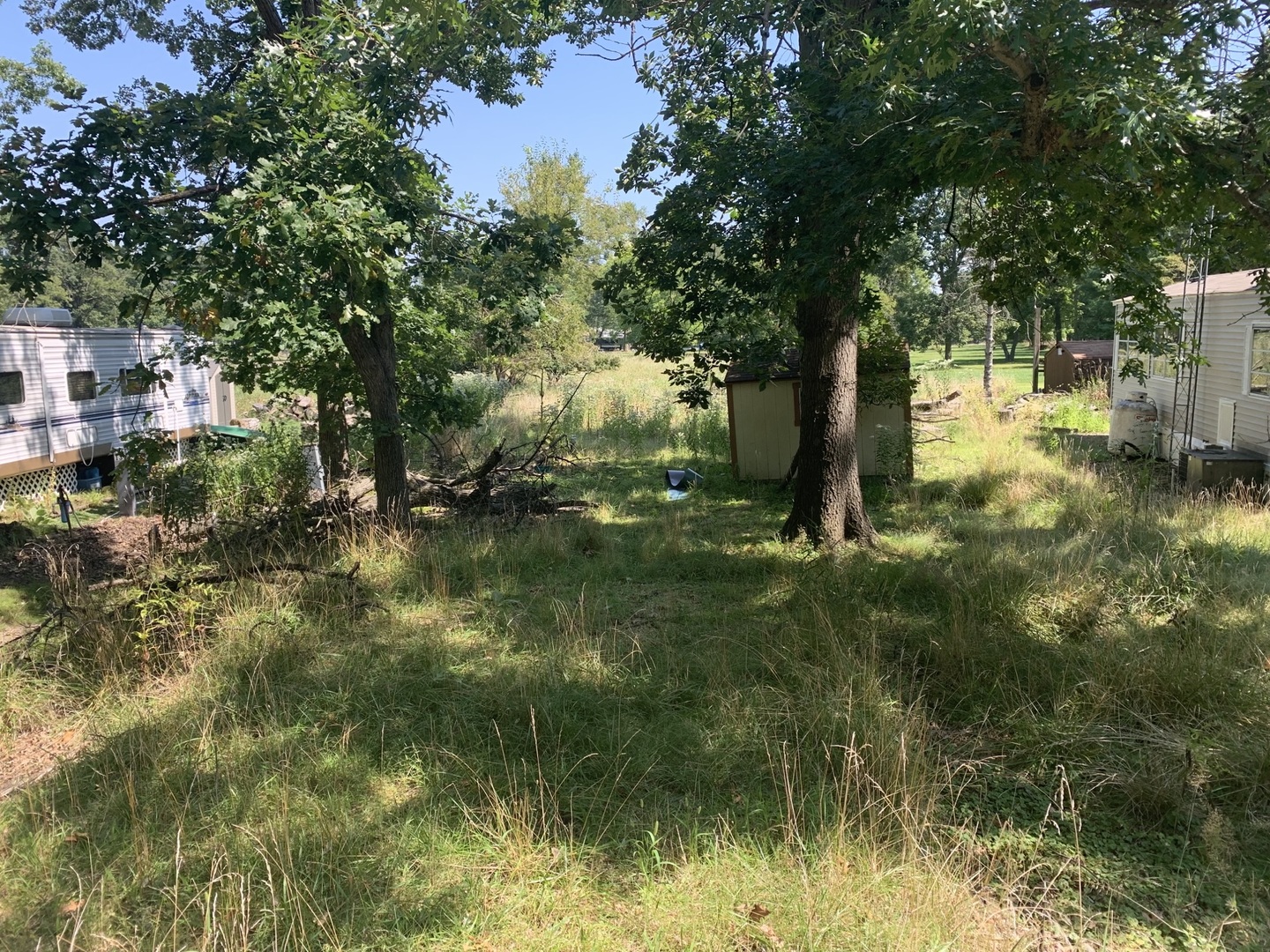 a big yard with lots of green space and fountain