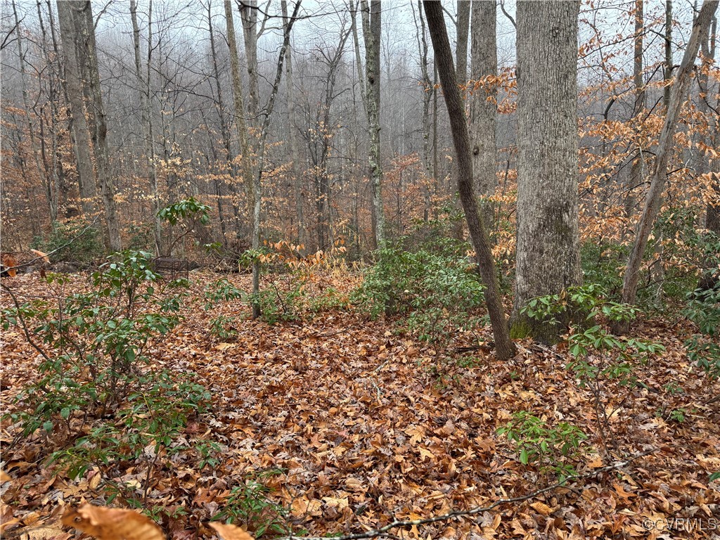 a view of a yard with trees