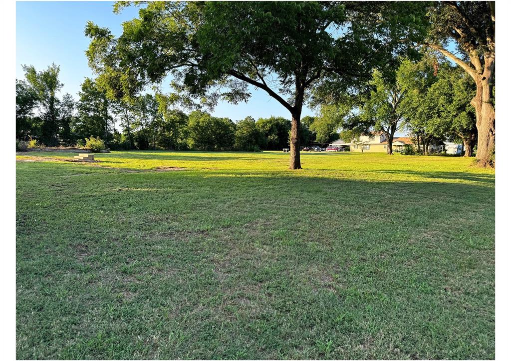 a view of garden with trees