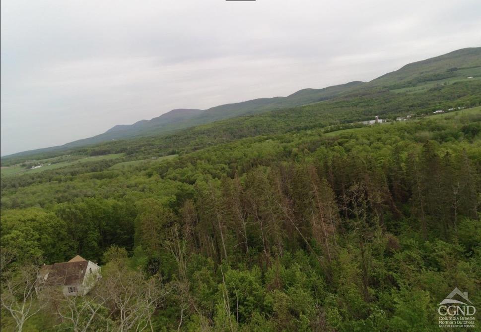 a view of a lush green forest with a houses