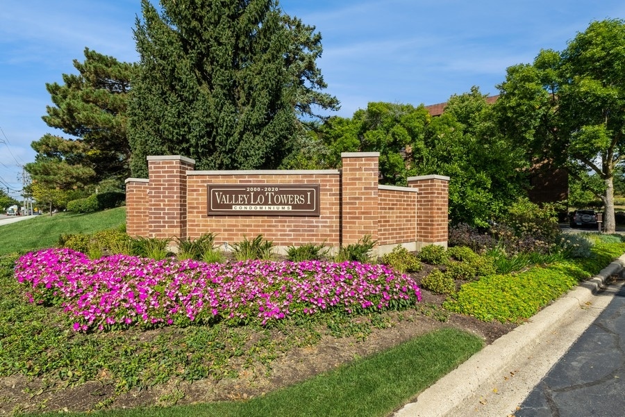 a flower plants and a park view