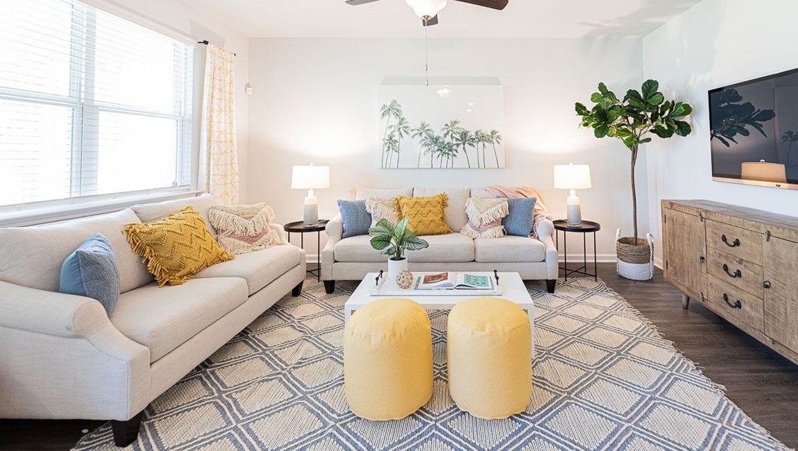 a living room with furniture and a potted plant