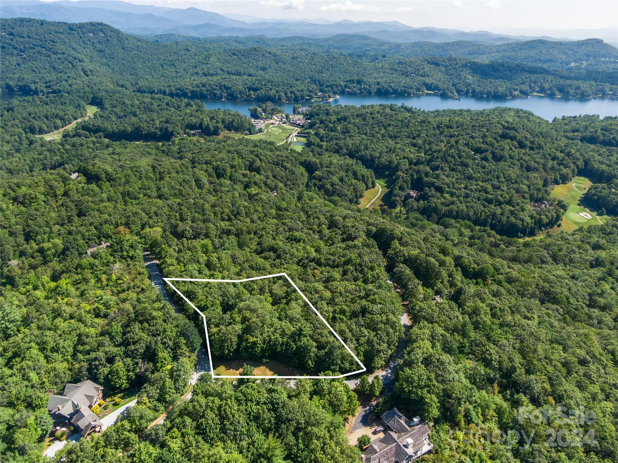 an aerial view of mountain with trees