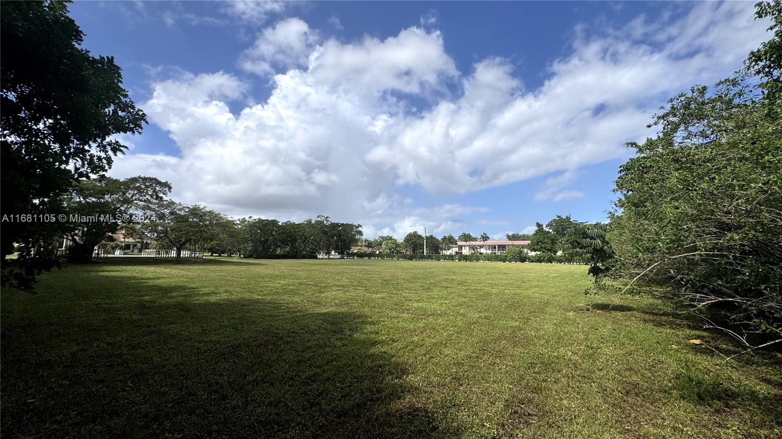 a view of a big yard