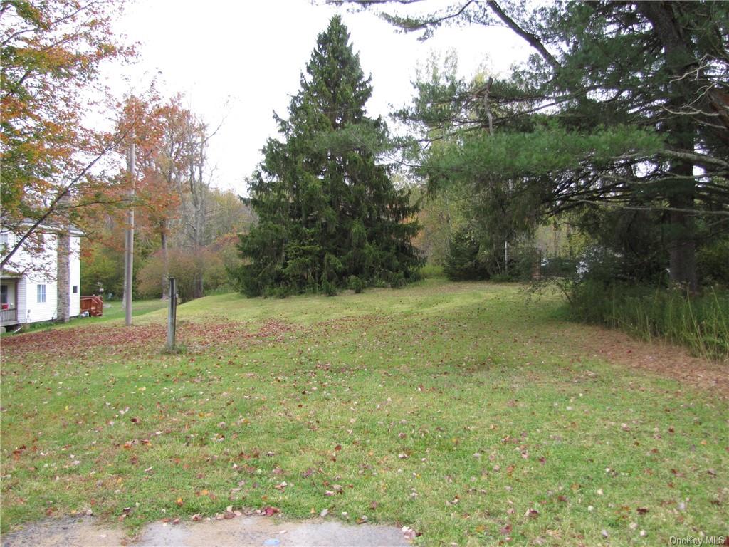 a view of a field with trees in the background