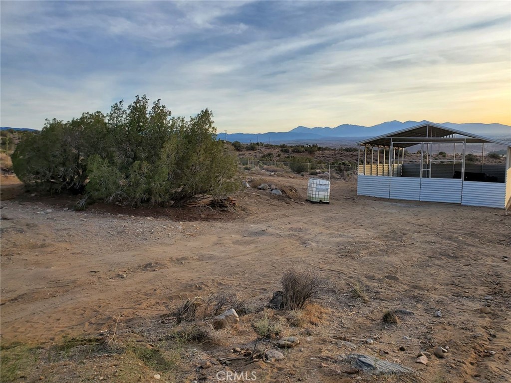 a view of a dry yard with mountain