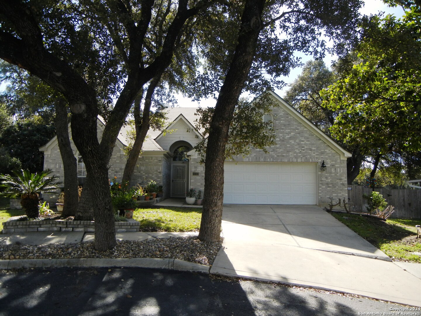 a view of a yard with large tree