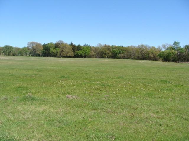 a view of an outdoor space and a yard