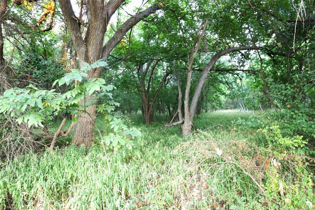 a view of outdoor space and green space