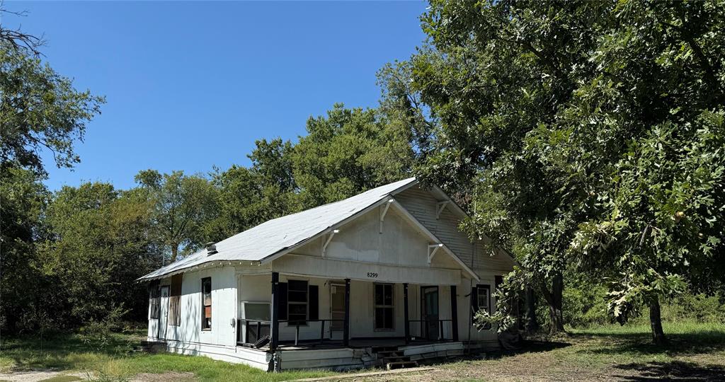 a view of a white house with large trees and plants