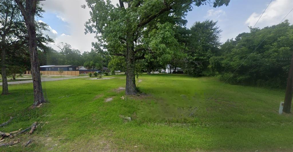 a view of a park with a tree