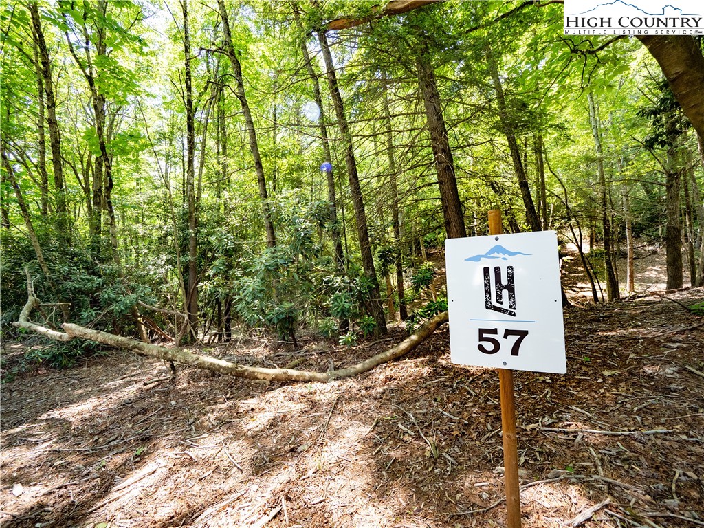 a sign board with tall trees