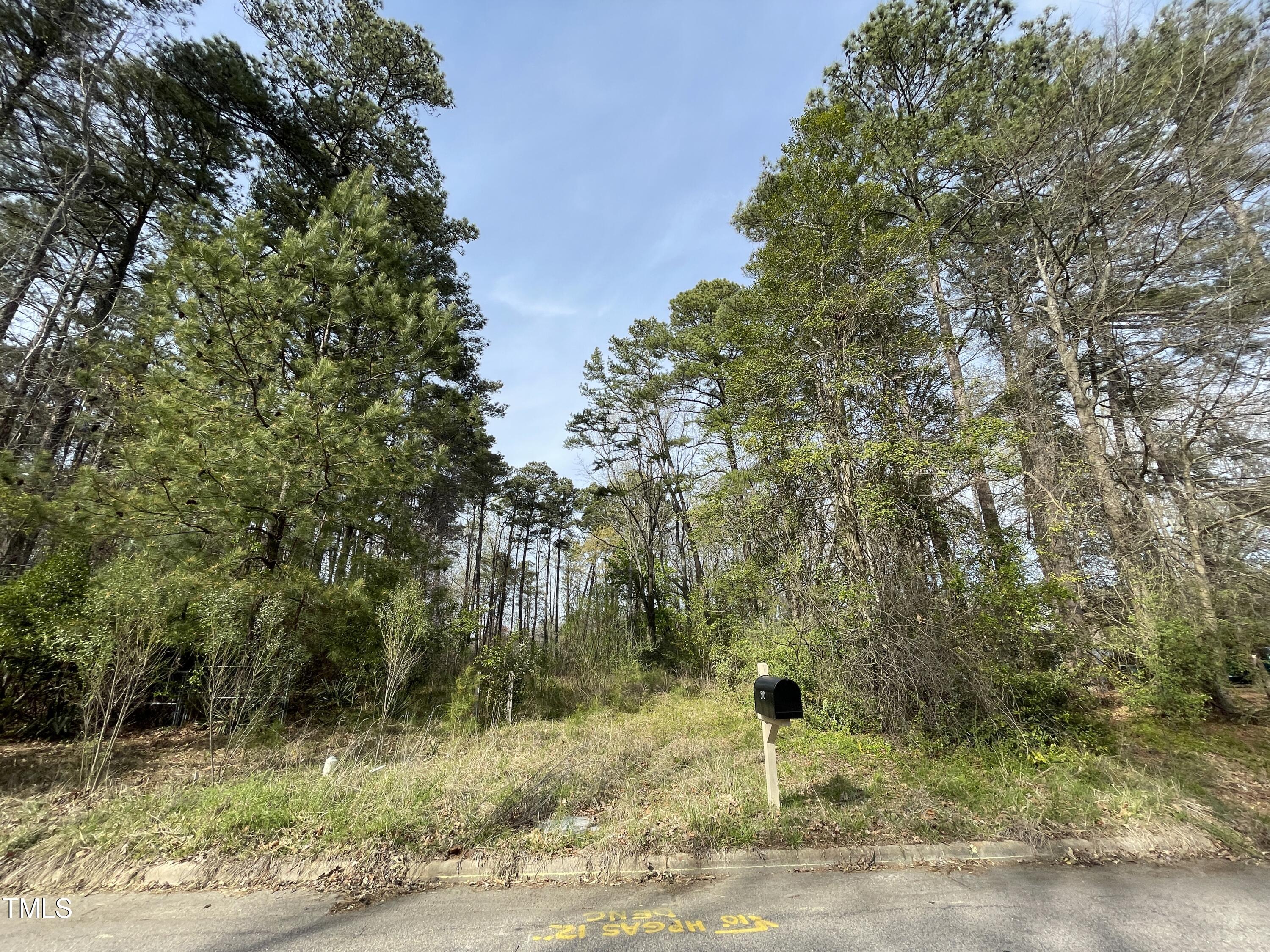 a view of a yard with plants and large trees