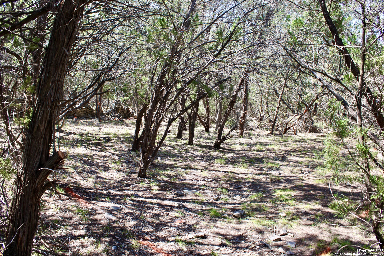 a view of outdoor space