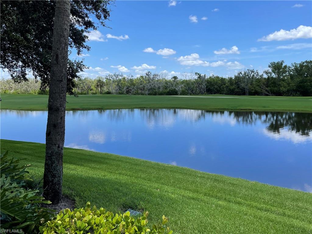 a view of a lake