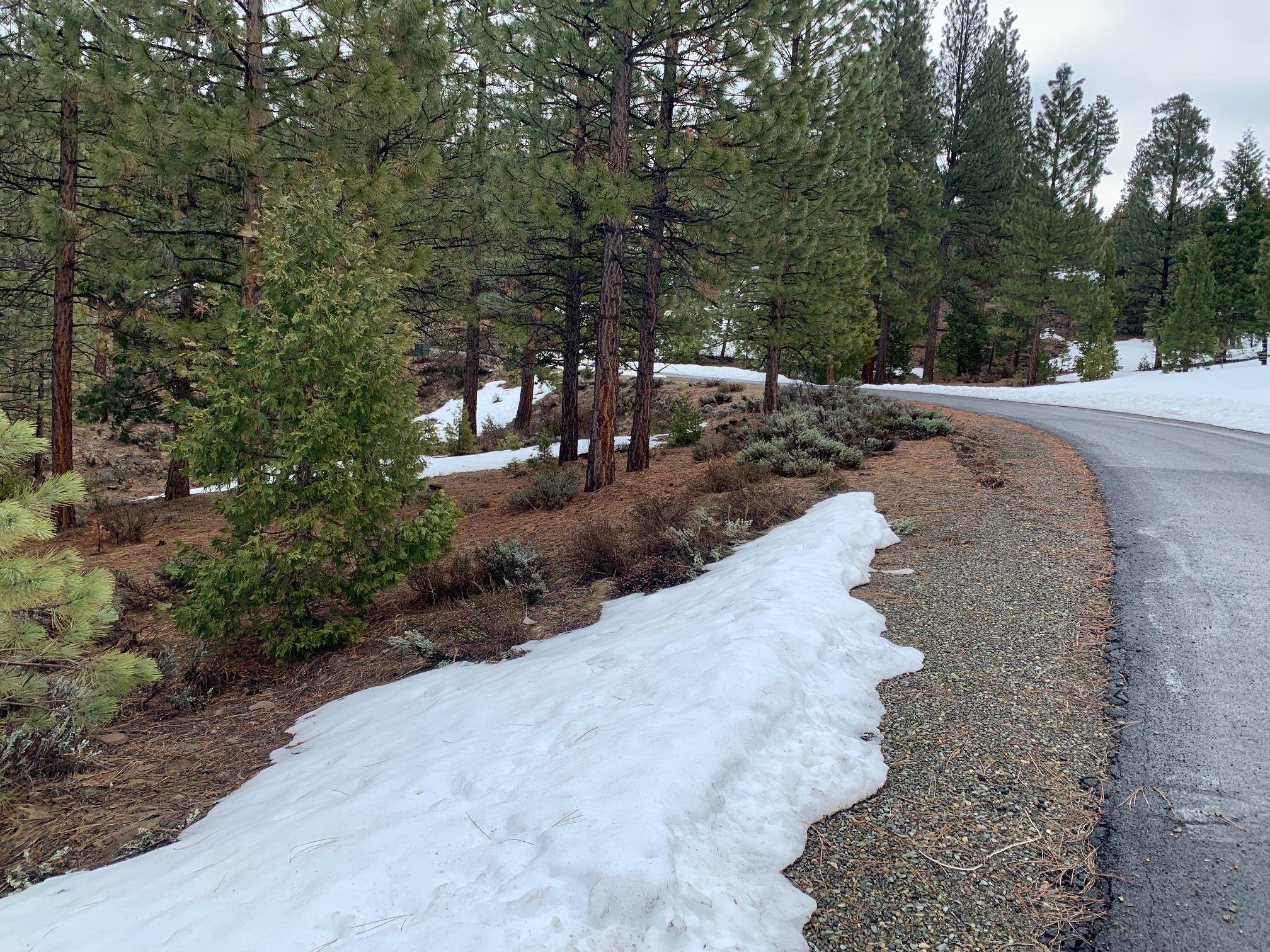 a view of a road with a trees