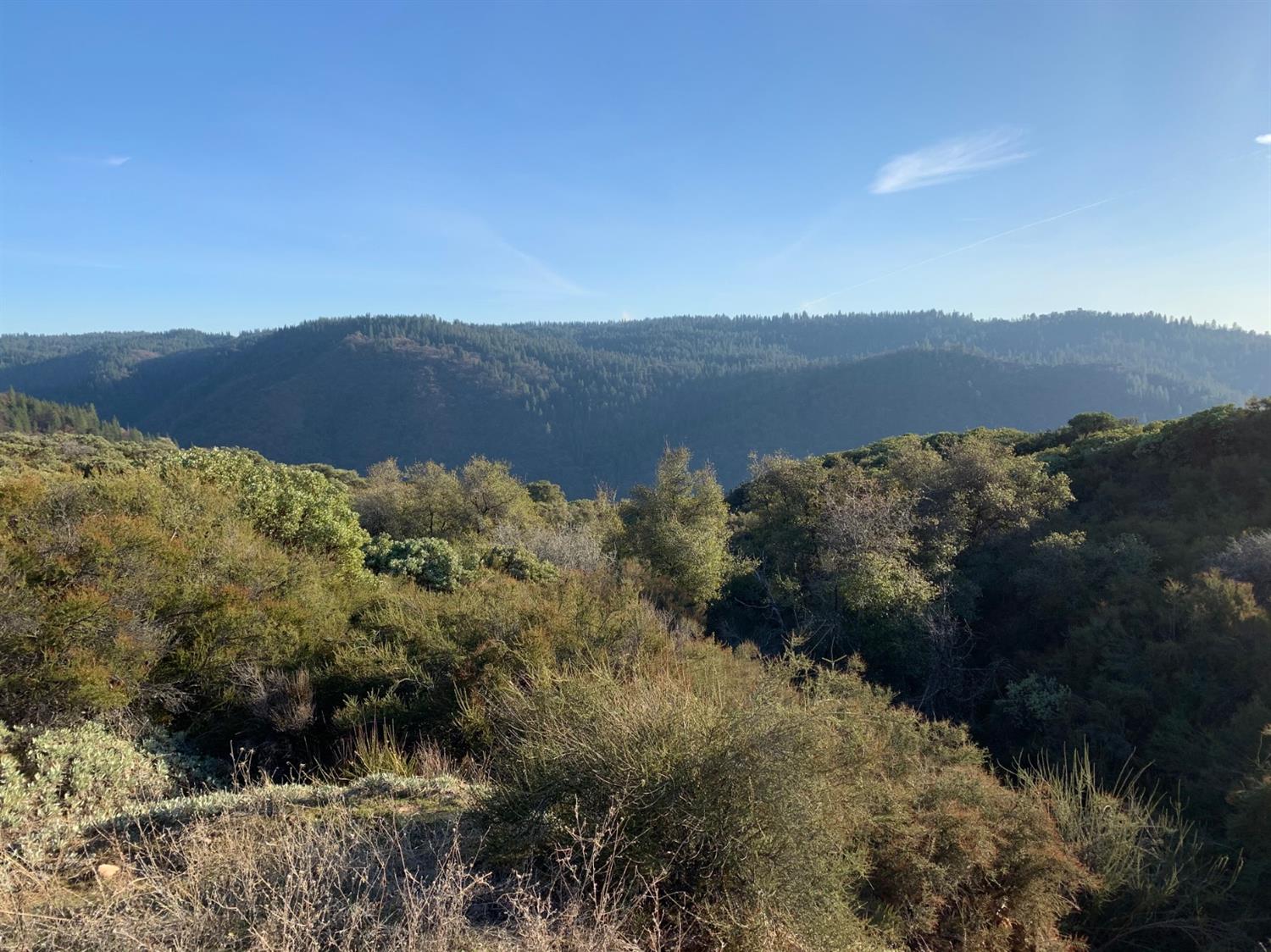 a view of mountain and a forest