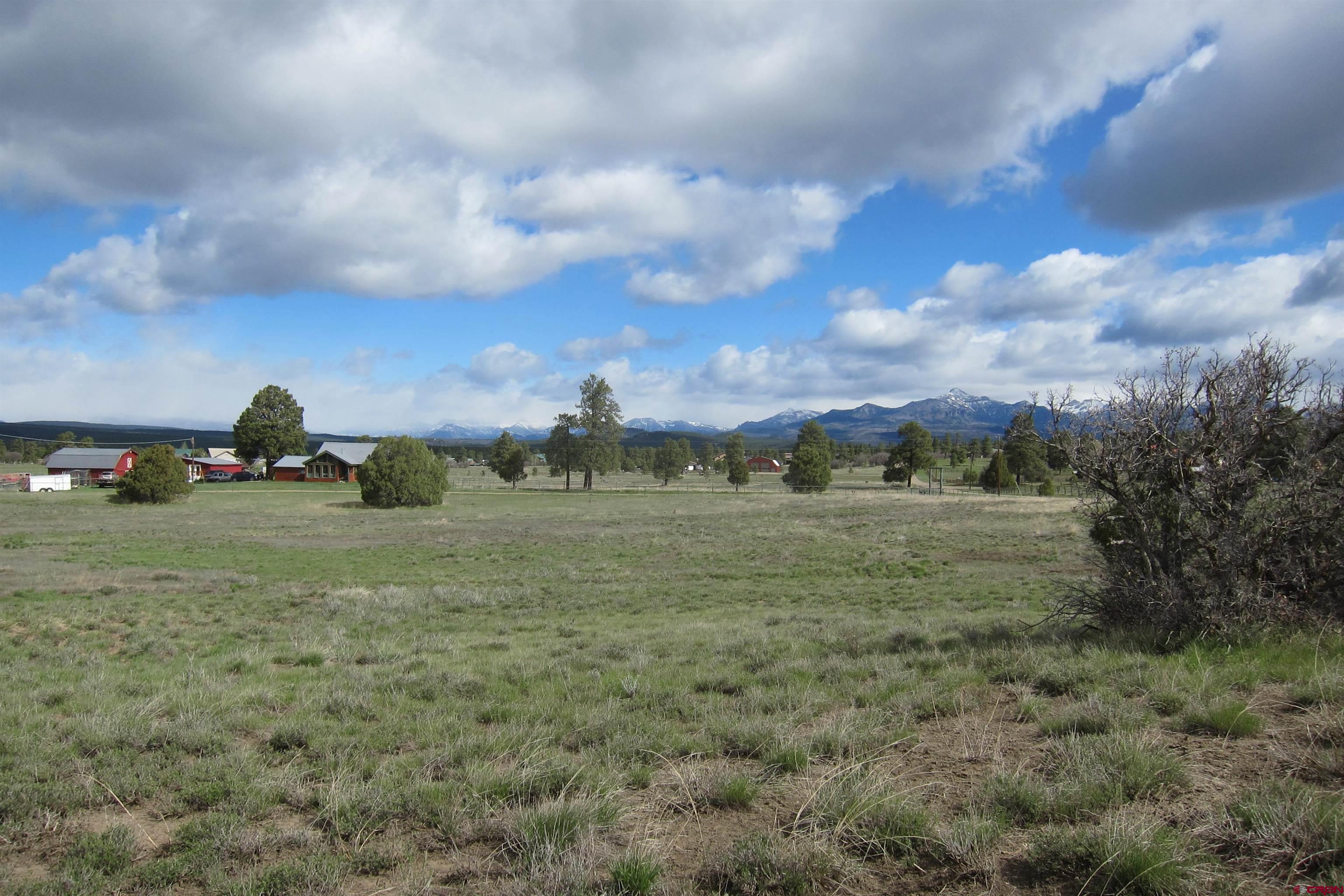 a view of a field